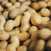 Peanut