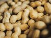 Peanut